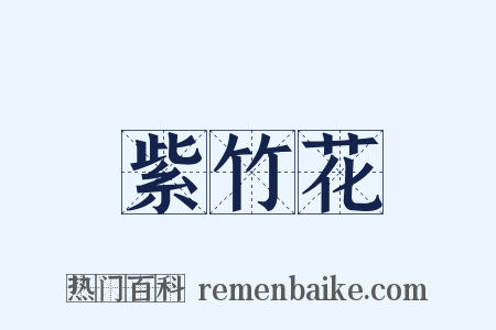 紫竹花是什么意思的图片
